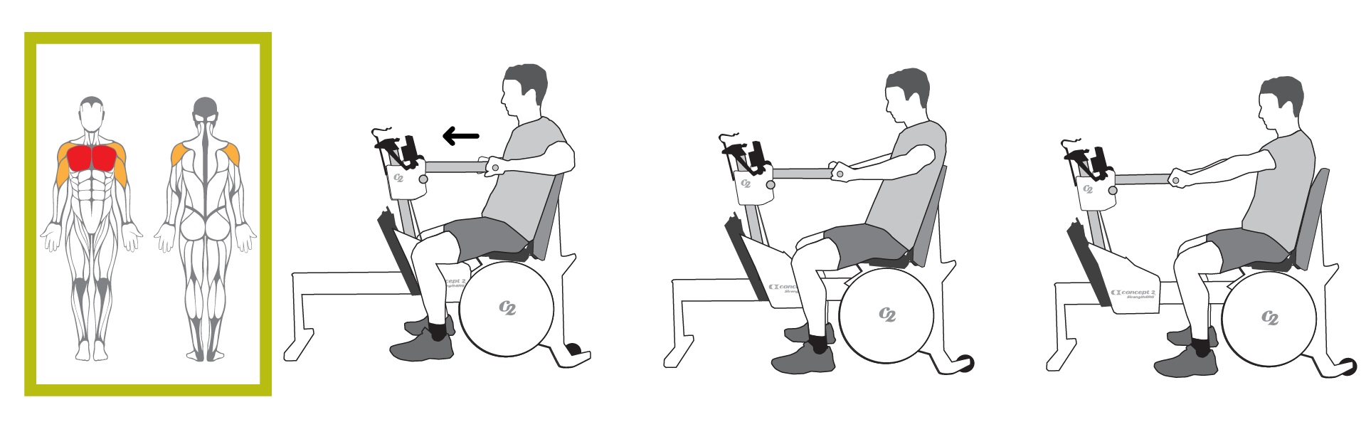 Muscles Used for Chest Press