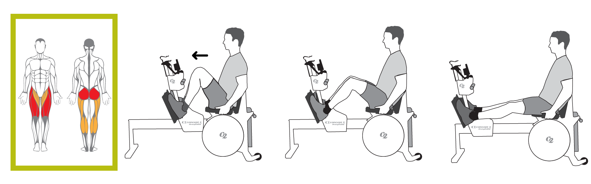 Muscles Used for Leg Press