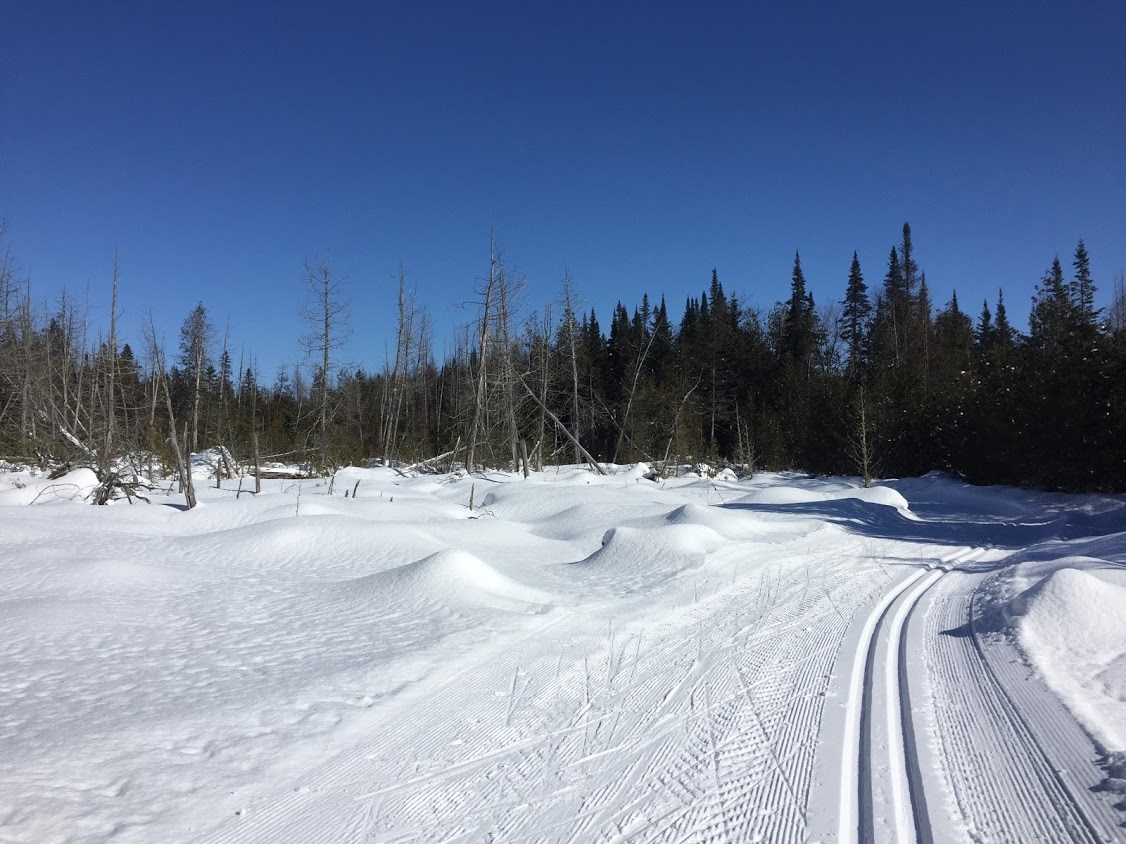 beaver_pond.jpg