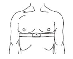 Polar on Chest