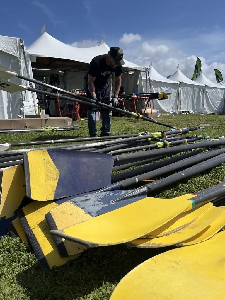 crew classic oars